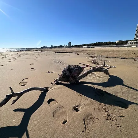 Bay Watch By The Sea * 리그나노 사비아도로